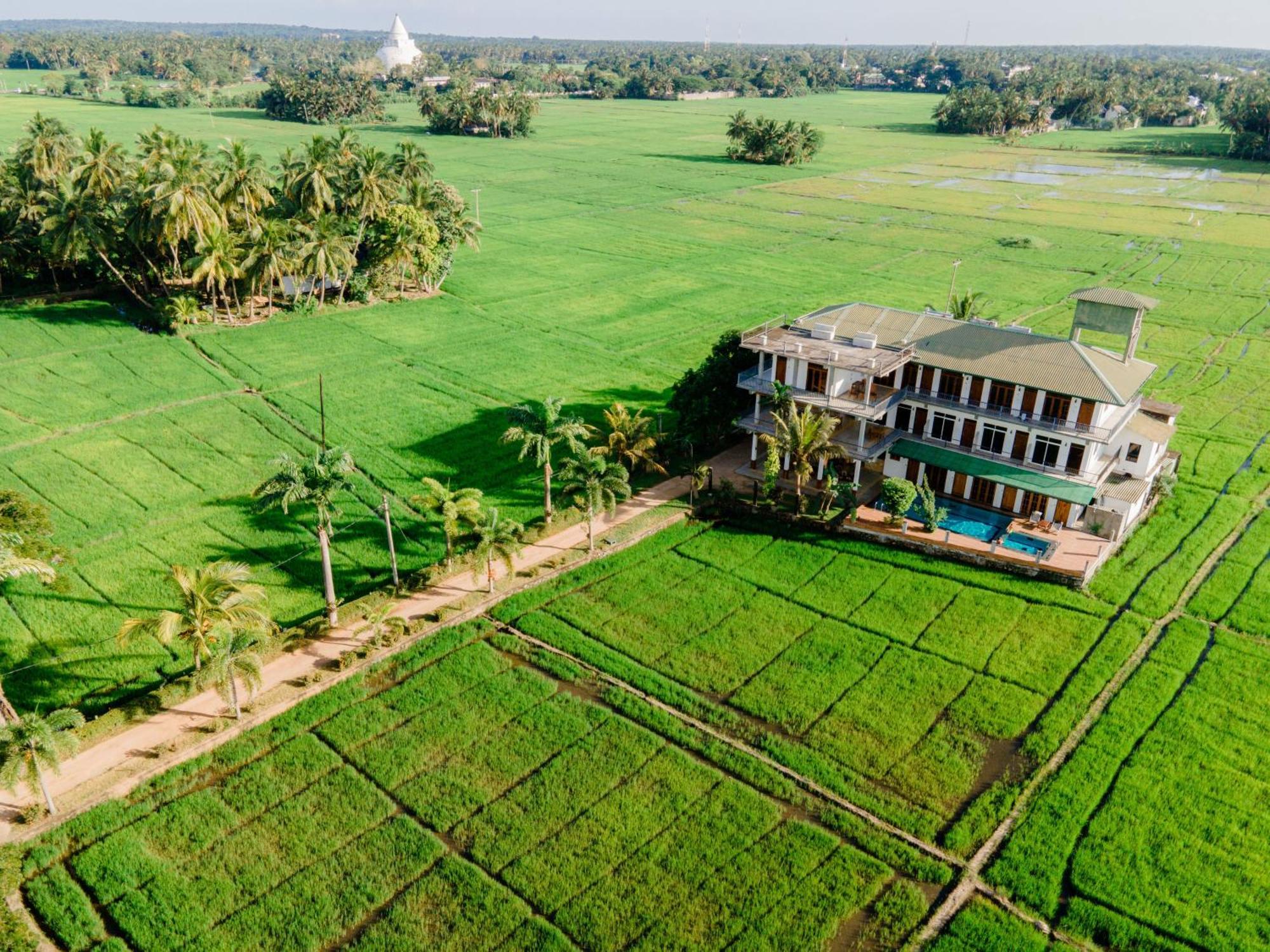 Serene Park Hotel By Ark Tissamaharama Extérieur photo