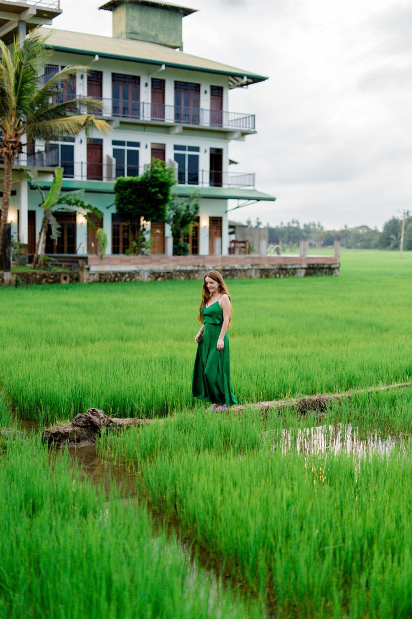 Serene Park Hotel By Ark Tissamaharama Extérieur photo