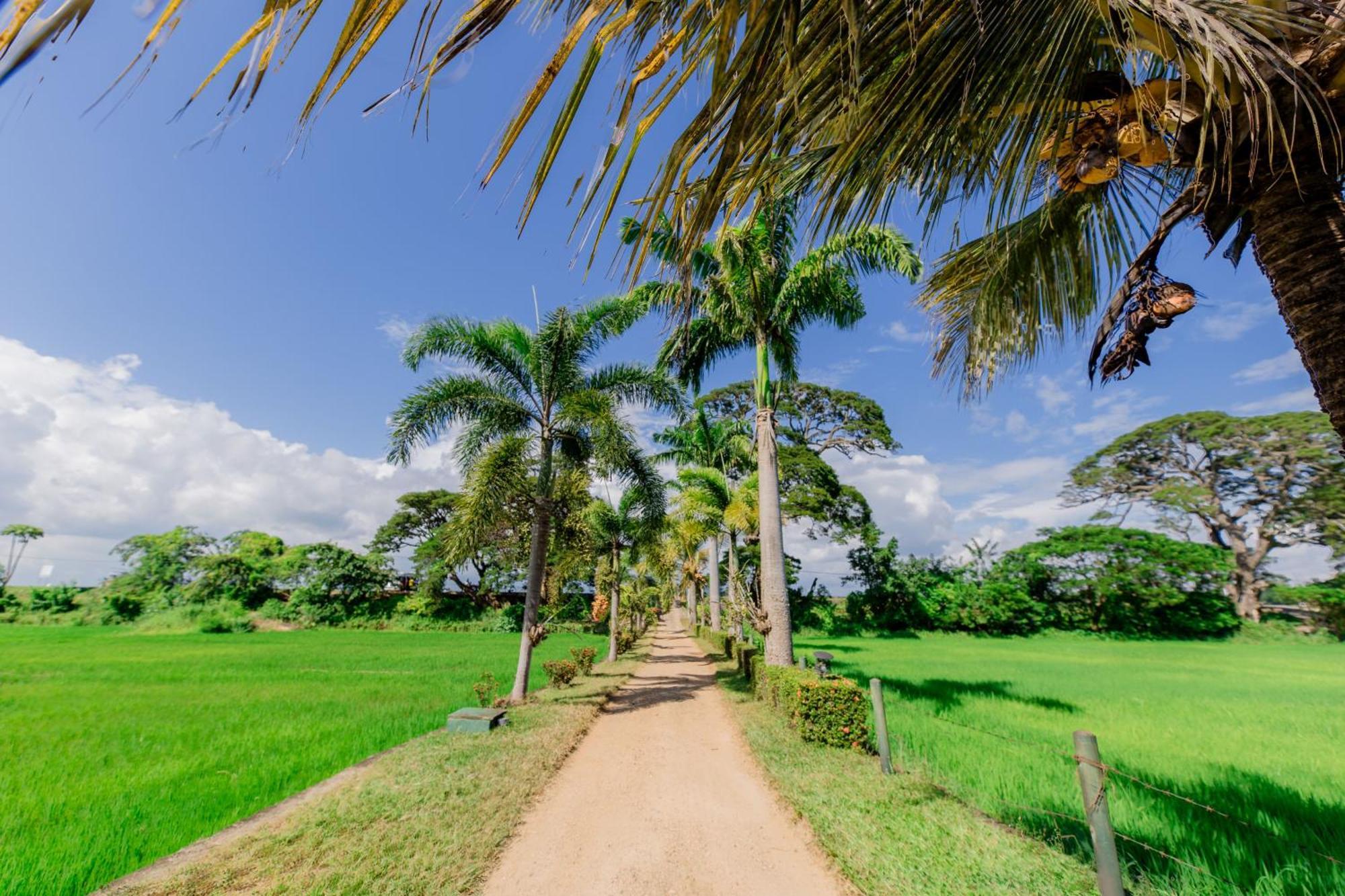 Serene Park Hotel By Ark Tissamaharama Extérieur photo
